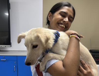 Help in Suffering rescue service providing assistance to an injured or distressed animal in Jaipur
